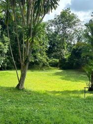 Mount Pleasant Road (D11), Detached #439402571